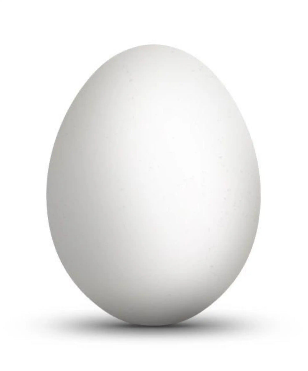 Hard Boiled Egg